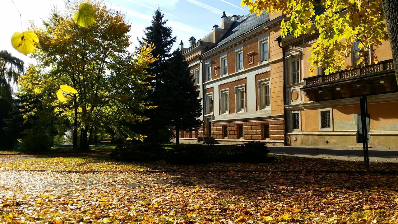 Zamek Svetla Nad Sazavou Hotel Екстериор снимка